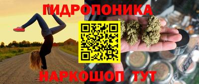 прущие грибы Кумертау