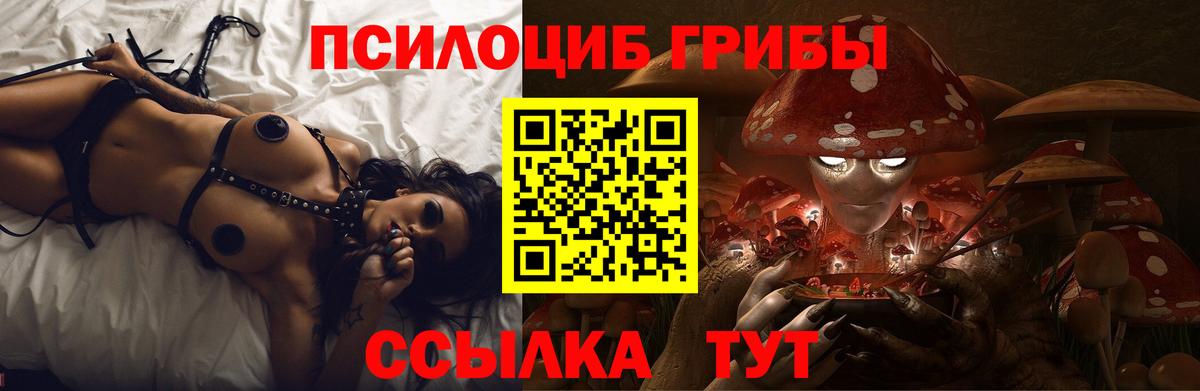 Донецк  Галлюциногенные грибы Psilocybe  Вход с VPN  Галлюциногенные грибы GOLDEN TEACHER 