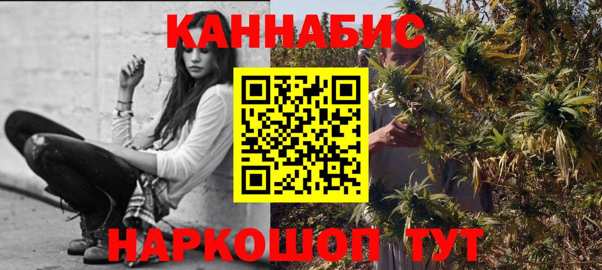 Донецк  Бошки Шишки SATIVA & INDICA  Бошки Шишки Bruce Banner  Марихуана VHQ  Бошки Шишки индика  Вход с VPN 